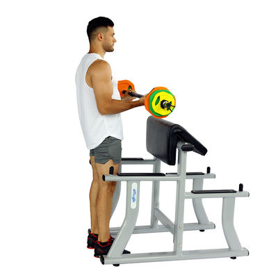 Customized Logo Scott Rack Exercise Bench for Pullup Rack Scott Setup Plus Heat Squad