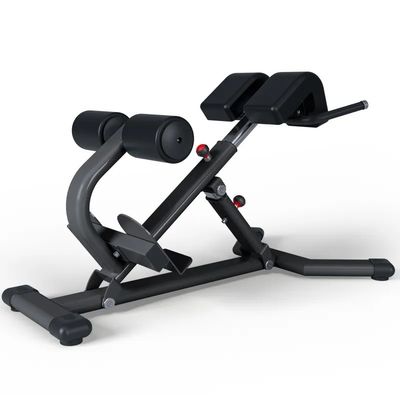 Commercial Fitness Equipment Back Extension Roman Chair with 1360*790*880 Metal Frame