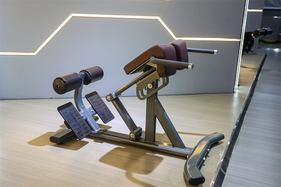 Commercial Fitness Equipment Back Extension Roman Chair with 1360*790*880 Metal Frame