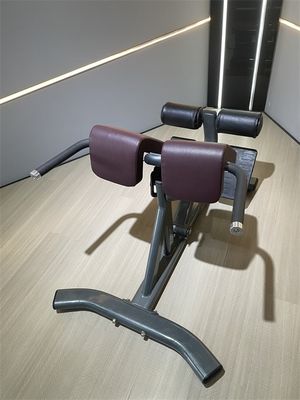 Commercial Fitness Equipment Back Extension Roman Chair with 1360*790*880 Metal Frame