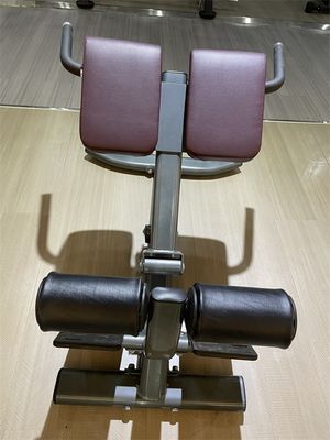 Commercial Fitness Equipment Back Extension Roman Chair with 1360*790*880 Metal Frame