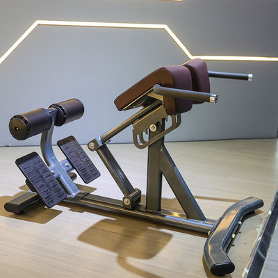 Commercial Fitness Equipment Back Extension Roman Chair with 1360*790*880 Metal Frame